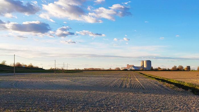 Le produzione cerealicole biologiche sono economicamente sostenibili?
