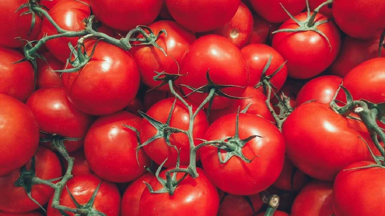 Regno Unito, mancano i pomodori: nei supermercati si pensa ai razionamenti
