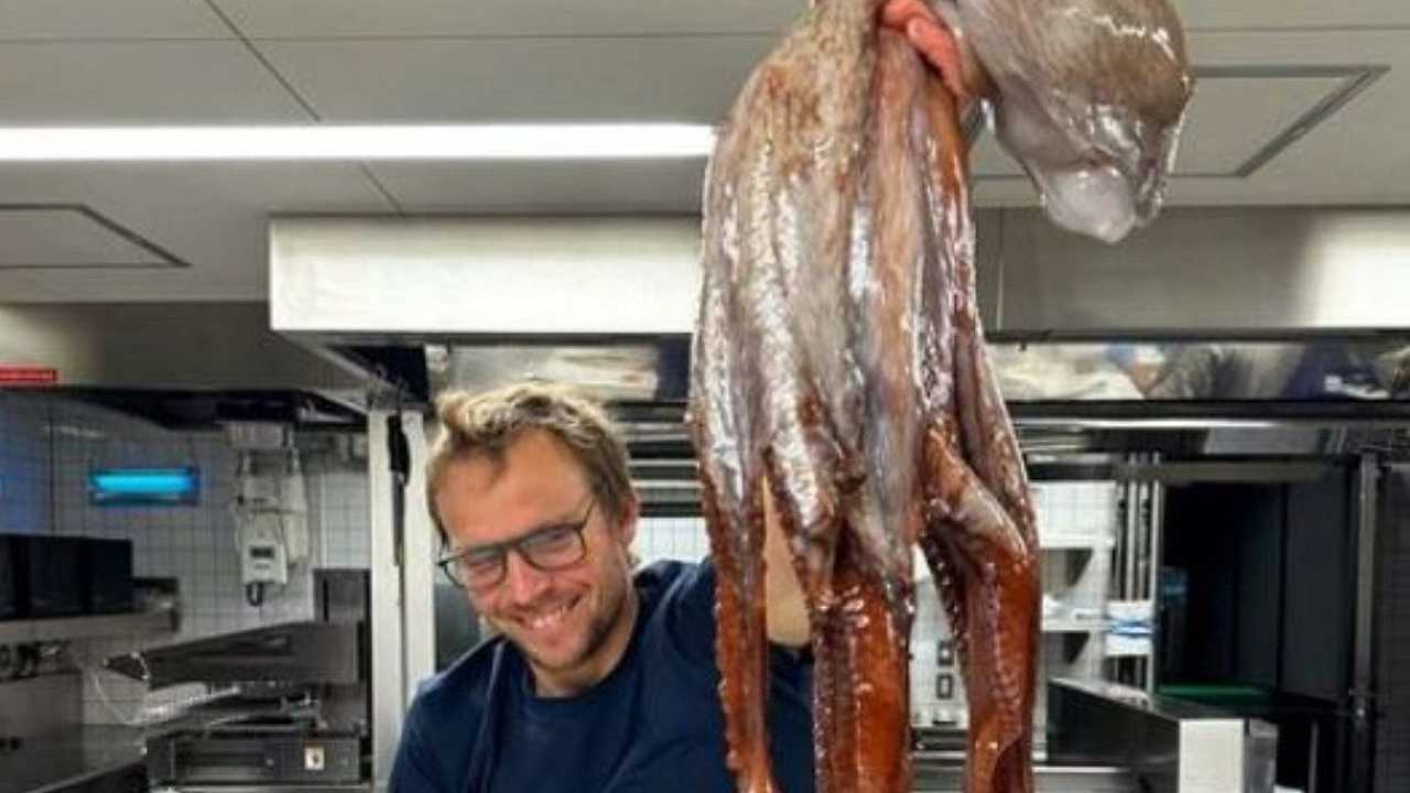René Redzepi mette (di nuovo) in palio una cena al Noma: indovinate quanto pesa il polpo