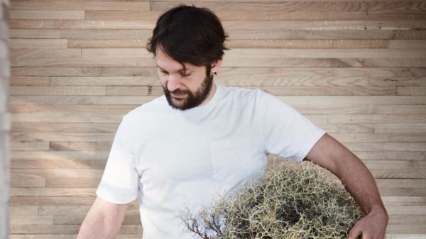 rene redzepi noma