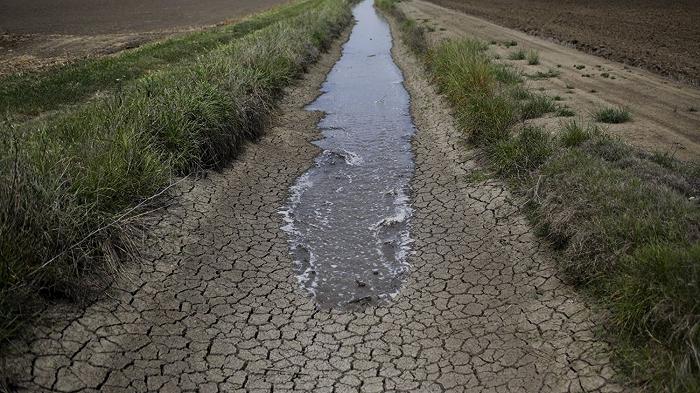 Gli agricoltori italiani saranno anche i primi ambientalisti, ma usano il 57% dell’acqua disponibile