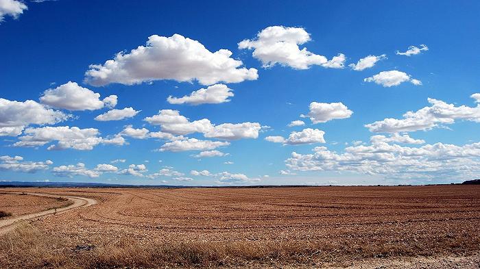 Agricoltura: all’asta 20mila ettari di terreni per tutti gli imprenditori agricoli