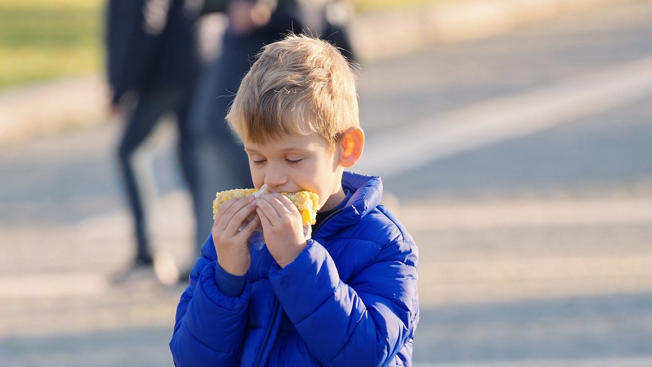 Milano Ristorazione: panino con bullone nel pranzo al sacco di un alunno