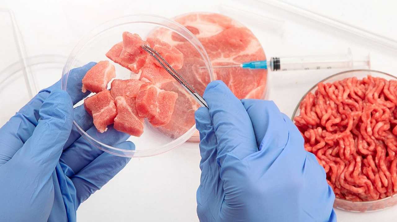 Stati Uniti: approvato il secondo prodotto a base di carne da laboratorio