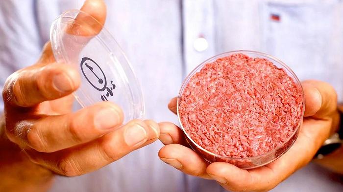 Carne coltivata, anche Slow Food si schiera contro