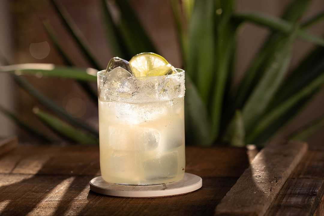 Quattro bianchi cocktail, la ricetta e gli ingredienti del drink dello sballo