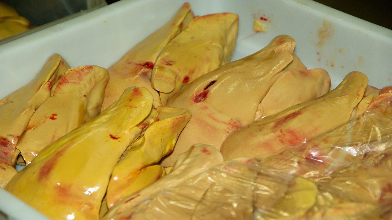 Foie gras coltivato: da Tokyo arriva l’alternativa creata in laboratorio