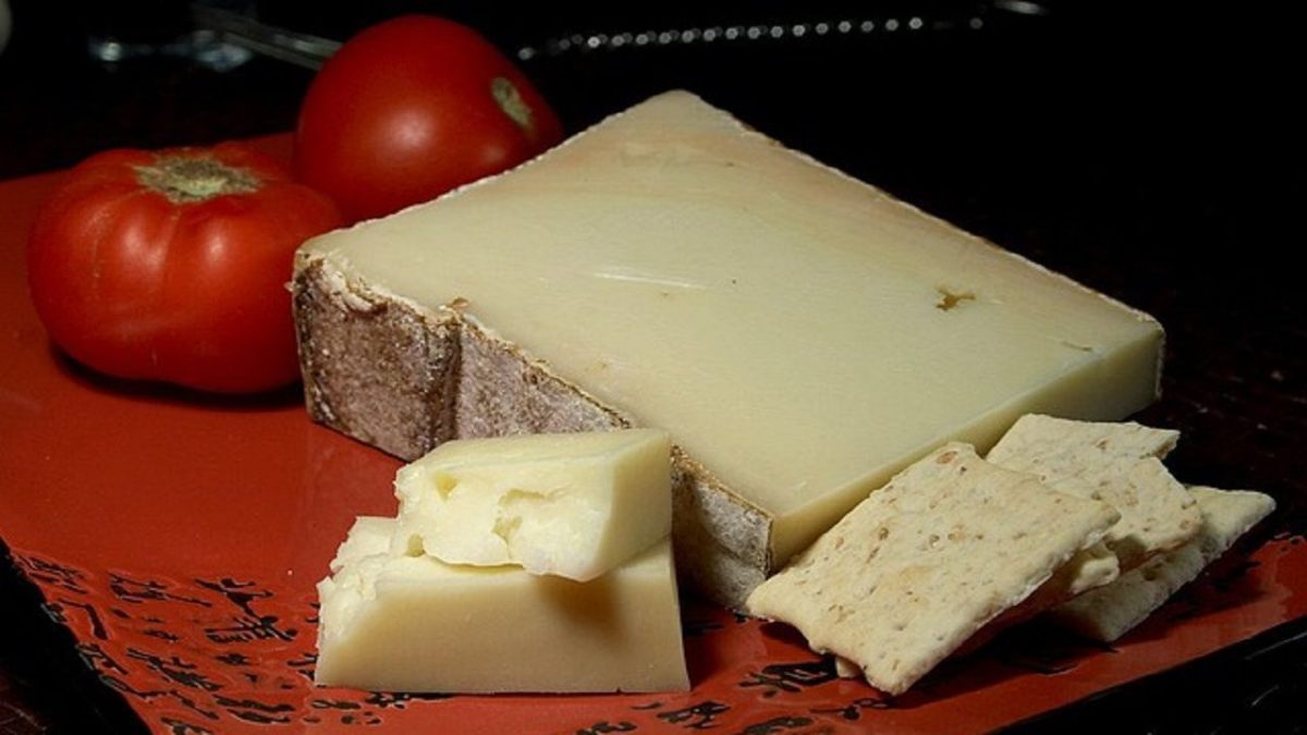 Fontina formaggio