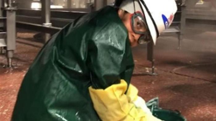 Stati Uniti, un’azienda di lavorazione della carne impiegava oltre 100 minori per pulire i macchinari