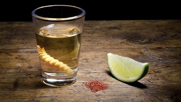 Messico: la siccità estrema minaccia la produzione di mezcal