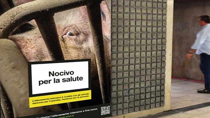 Allevamenti intensivi, Milano è invasa da manifesti che li denunciano