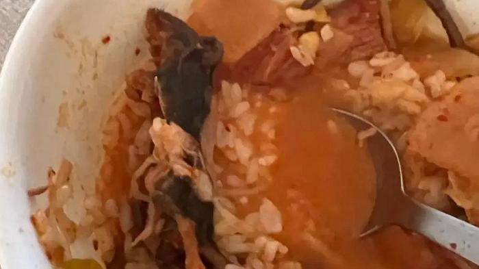 New York, ordinano una zuppa al ristorante e ci trovano dentro un topo morto