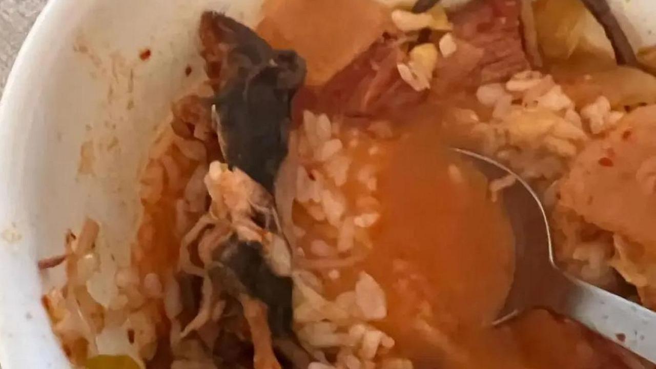 New York, ordinano una zuppa al ristorante e ci trovano dentro un topo morto