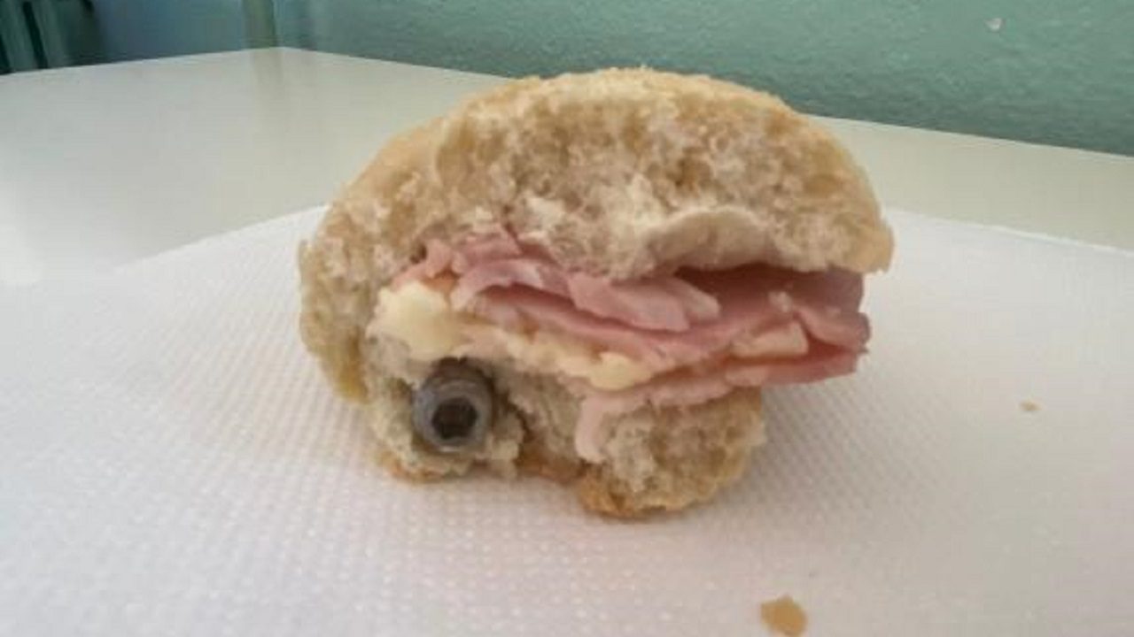 panino bullone