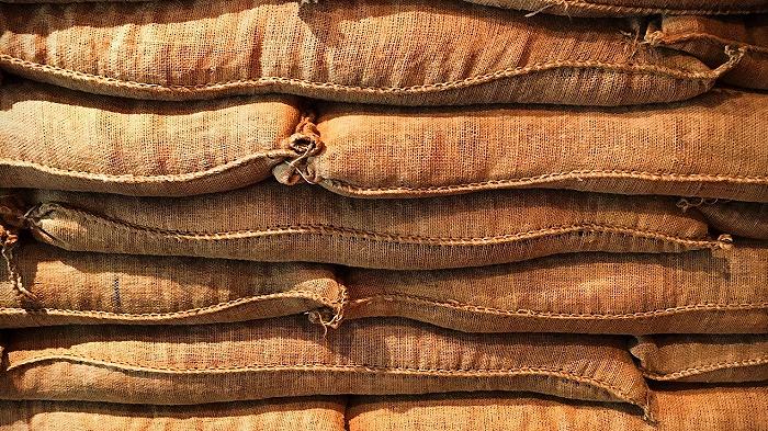 Scarti di cereali per bonificare i terreni inquinati: il progetto dell’Università di Brescia