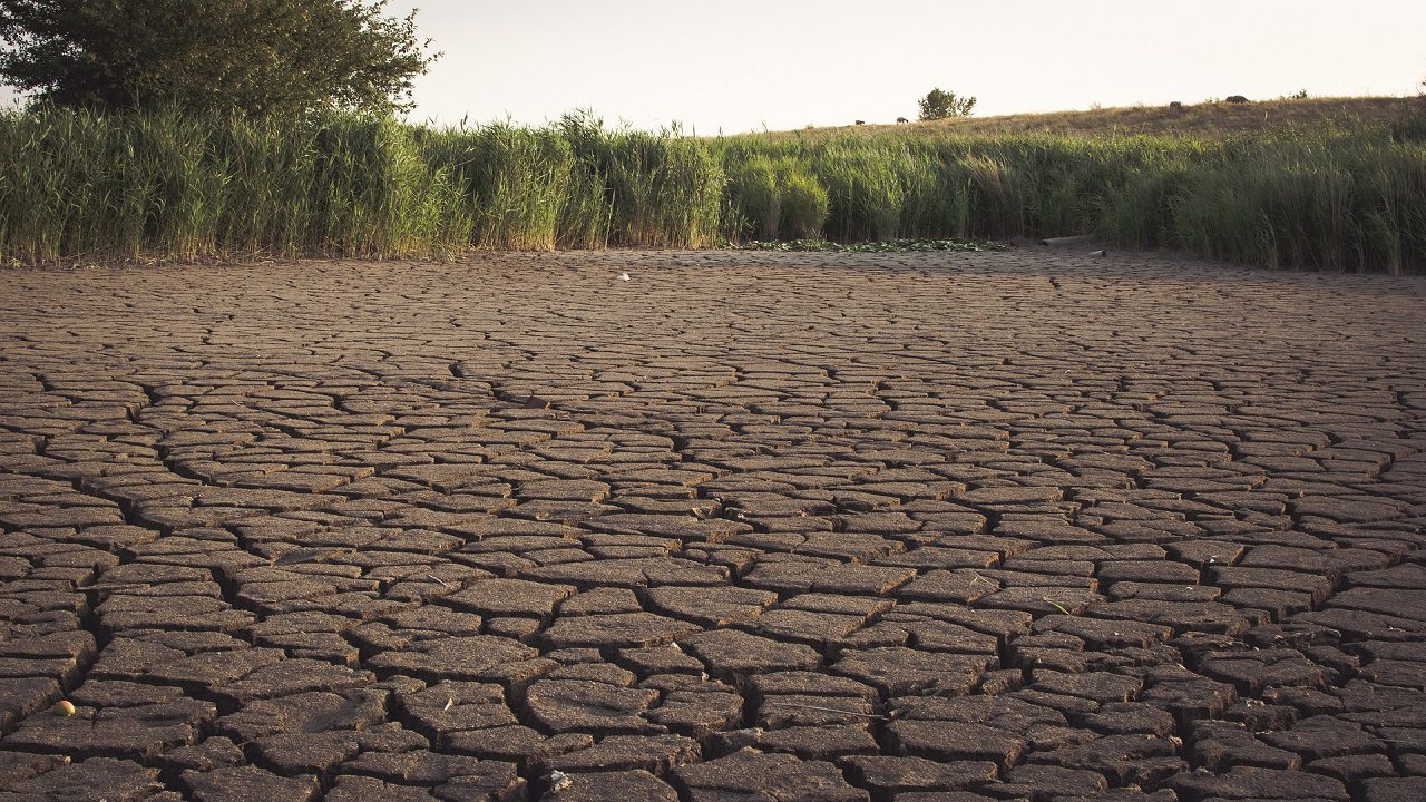 Siccità: in Lombardia manca l’acqua, rinviato l’inizio della stagione dell’irrigazione