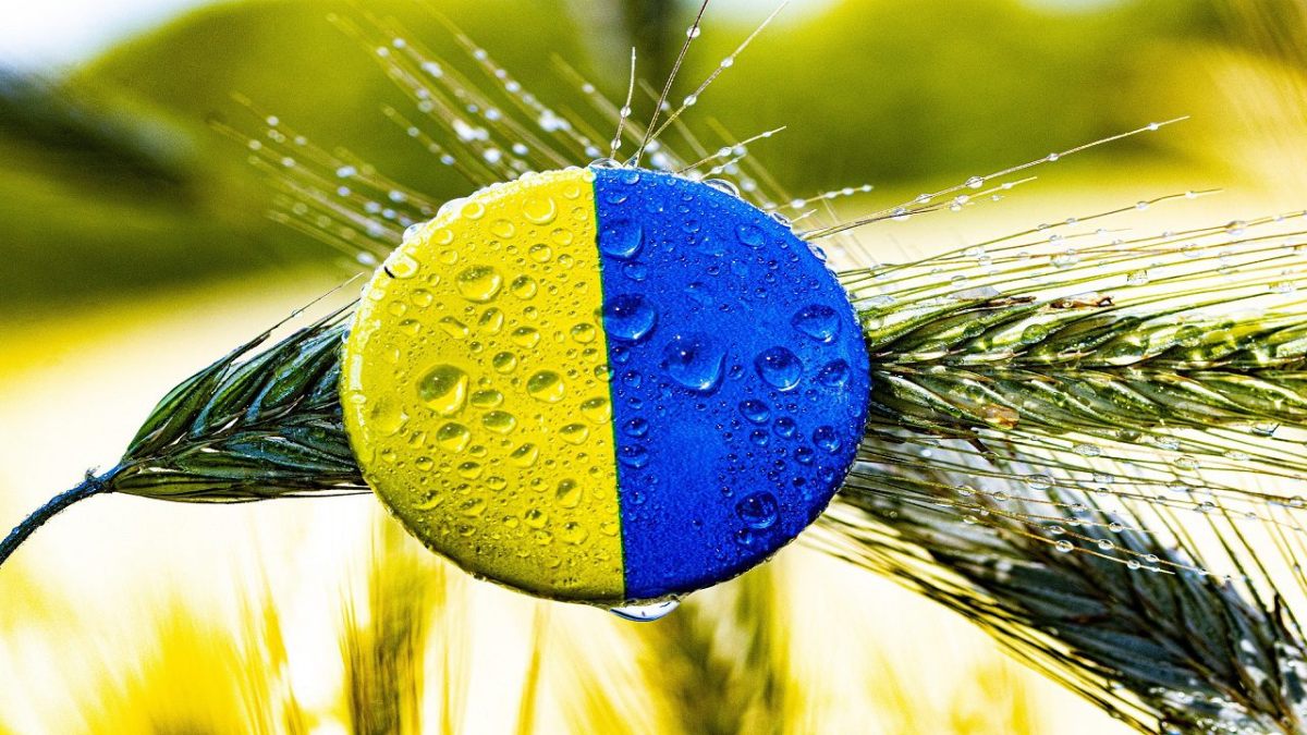 Grano Ucraina