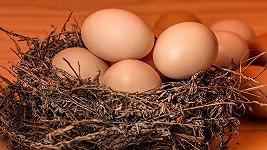 Uova, in Italia il prezzo è cresciuto del 20,8%: quanto ha inciso l’influenza aviaria?