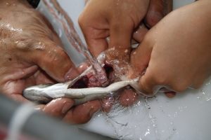 branzino eviscerato e lavato