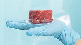 La carne coltivata fa male alla salute? Il report di OMS e FAO