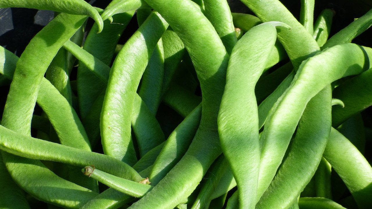Verdura fresca seems (country beans) di RB Foods: richiamo per rischio chimico