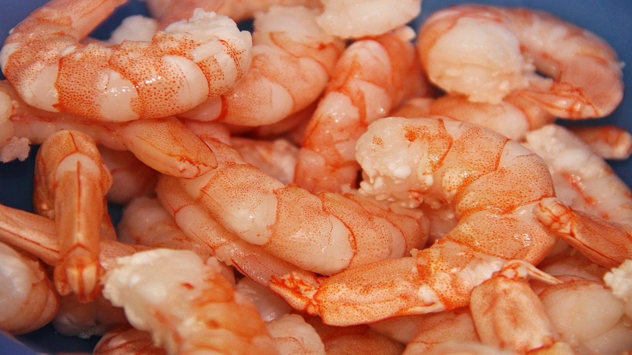 Gamberetti Boreali in salamoia di Gioia di Mare: richiamo per rischio microbiologico