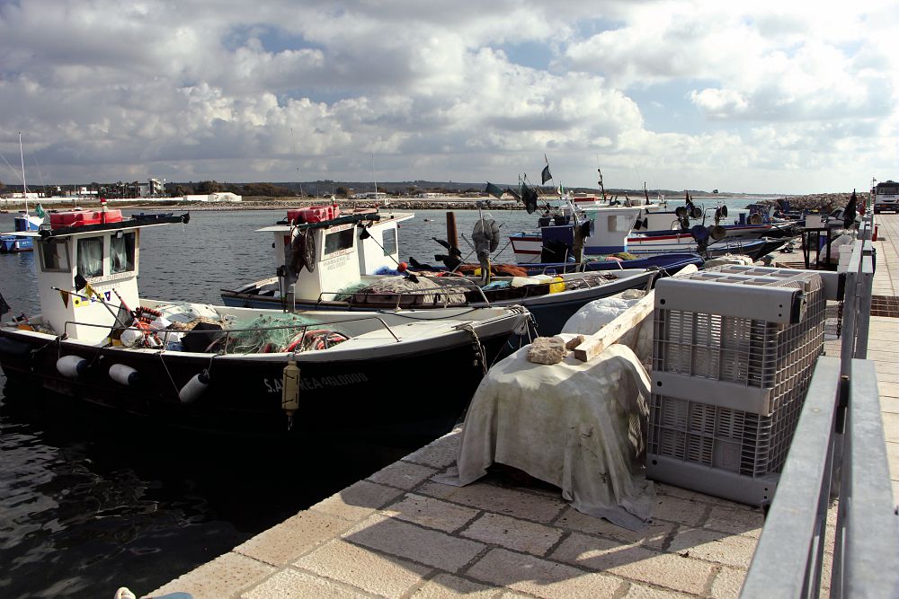 Slow Fish A Genova Dal Al Giugno Tutti Gli Eventi Da Non