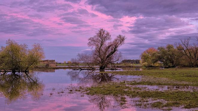 alluvione