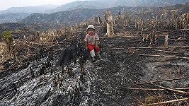 Cargill finisce nei pasticci per deforestazione e violazione dei diritti umani