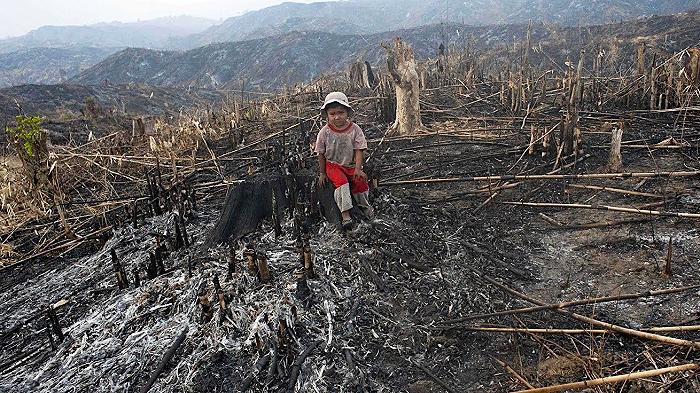 Cargill finisce nei pasticci per deforestazione e violazione dei diritti umani