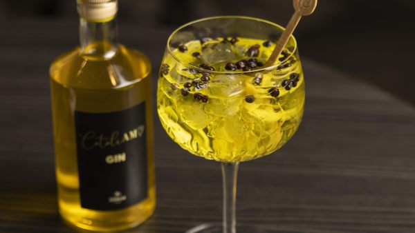 gin cotoliamo