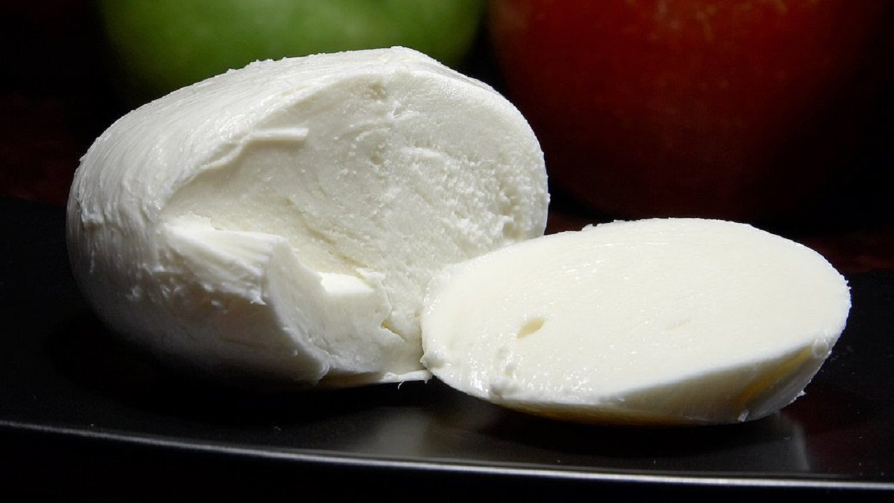 La mozzarella belga alla conquista dell’Europa: la produzione è in crescita continua