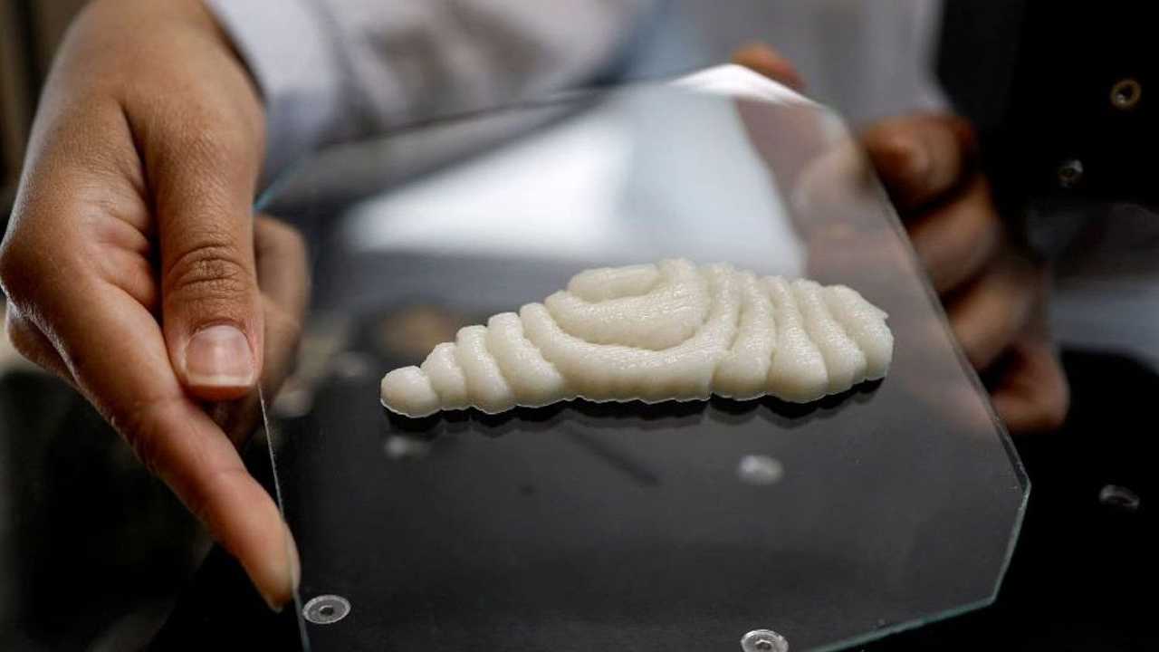 Israele: un’azienda ha creato un filetto di pesce con una stampante 3D