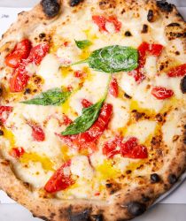 pizzeria salvo