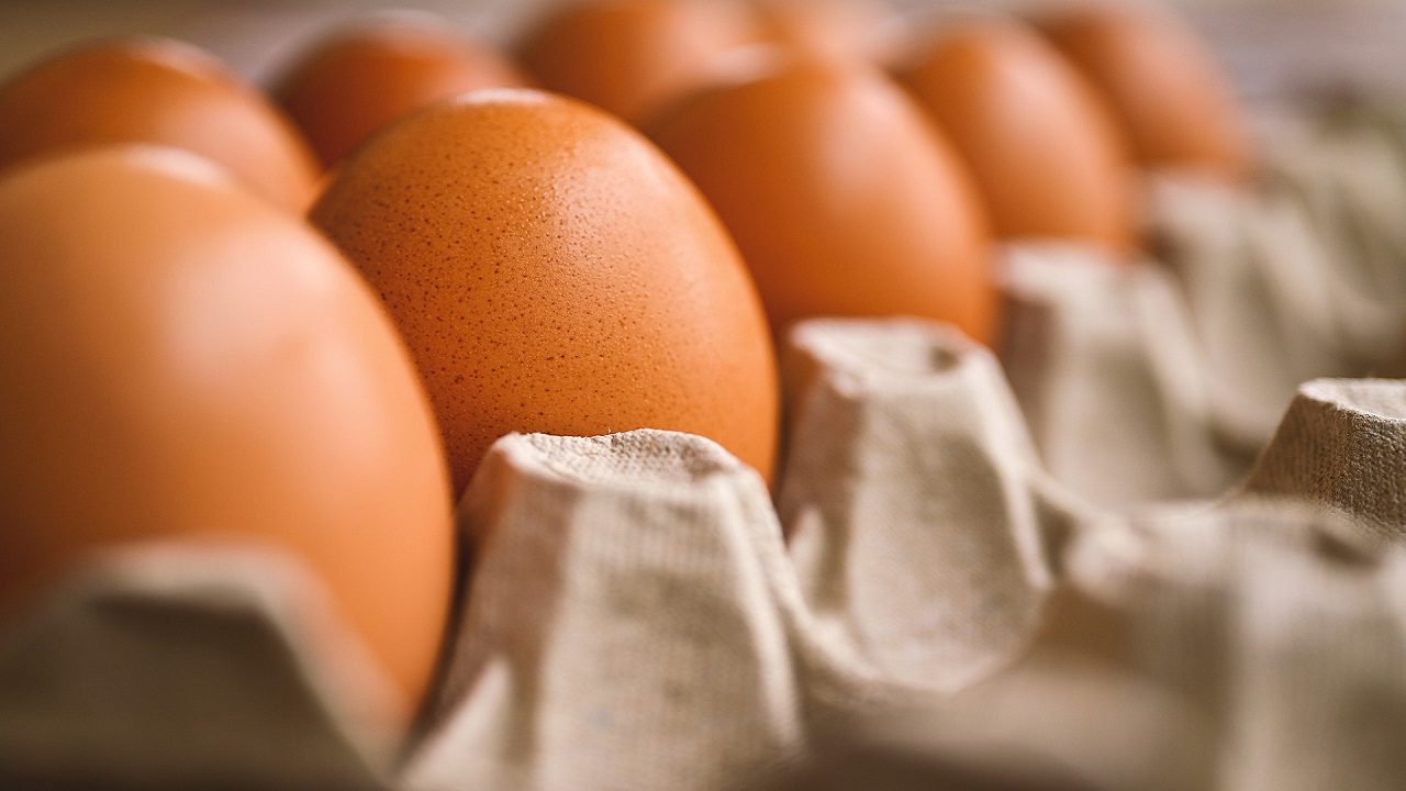 Uova da allevamento a terra pasta gialla di Antonelli: richiamo per rischio microbiologico