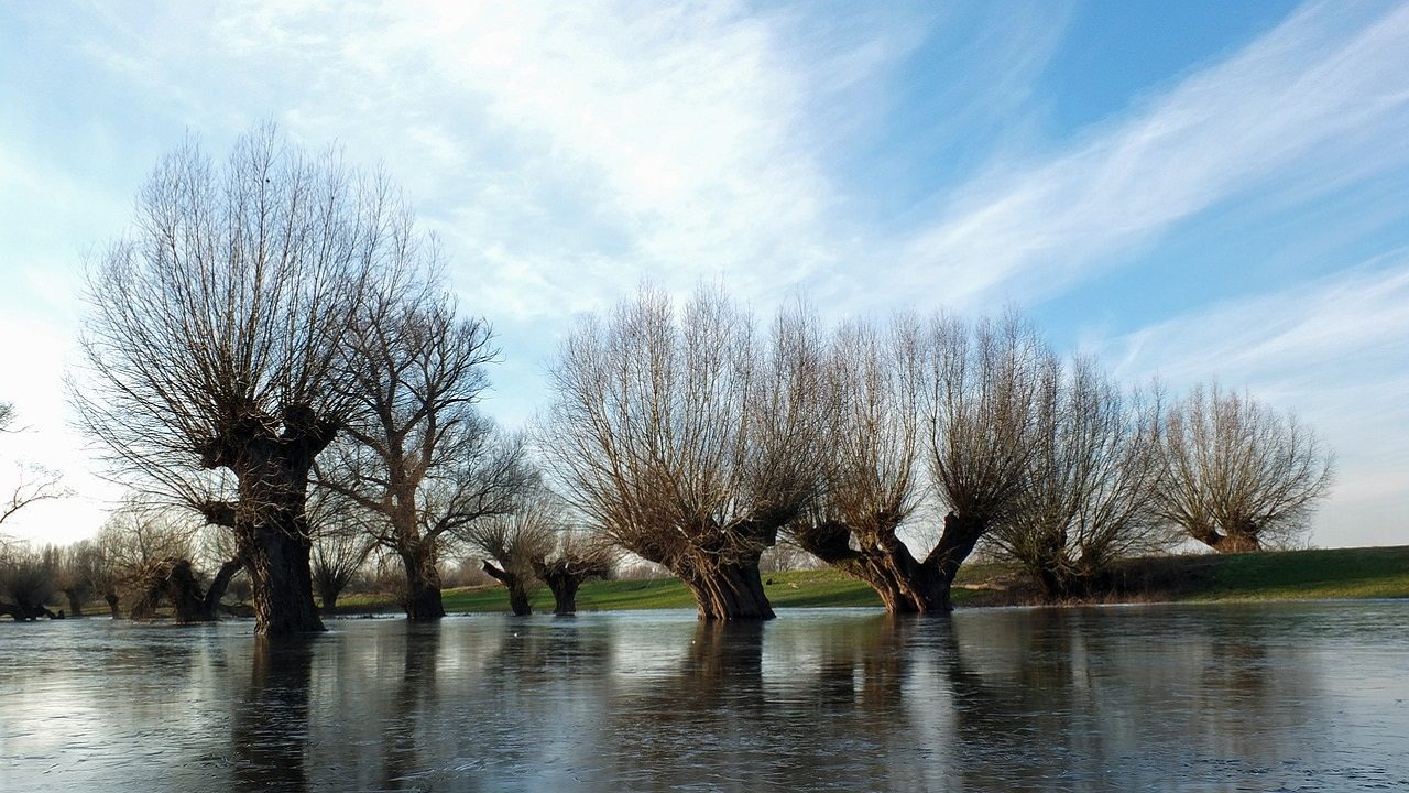 Alluvione Emilia-Romagna: 100mila ettari di terreno sotto il fango, frutteti e vigneti muoiono per asfissia
