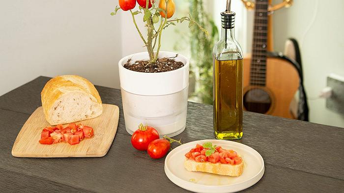 Le regole per fare bruschette al pomodoro perfette