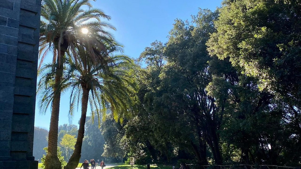 Capodimonte: il nuovo ristorante-pizzeria sta per aprire nel restaurato Giardino del Bosco