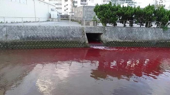 Fiume rosso sangue: non è una maledizione, ma colpa di una fabbrica di birra