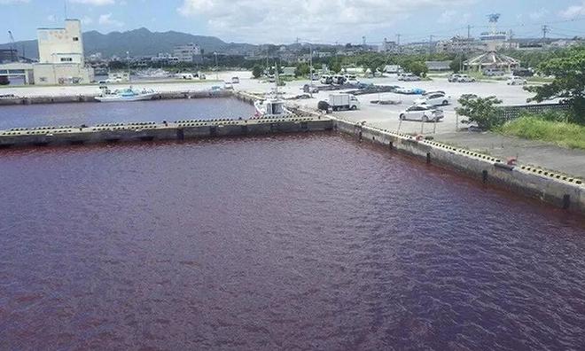 fiume rosso birra giappone