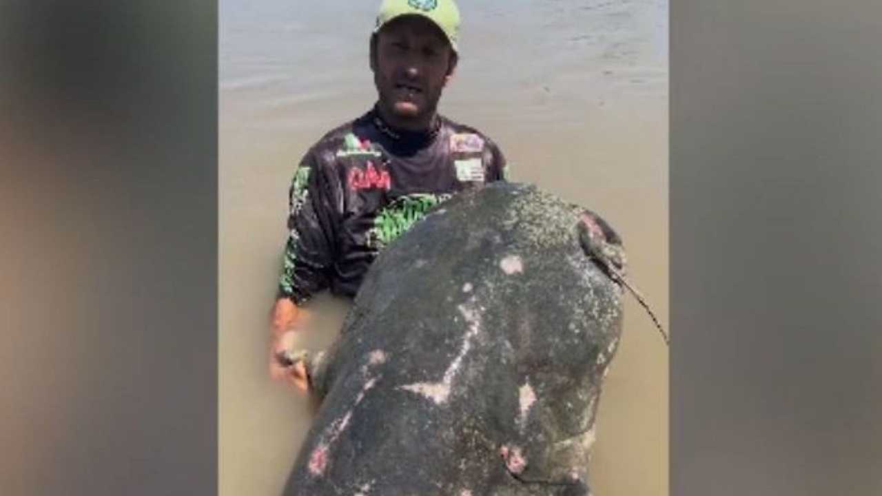 Pesca, catturato il “mostro” del Po dopo una ricerca durata 23 anni