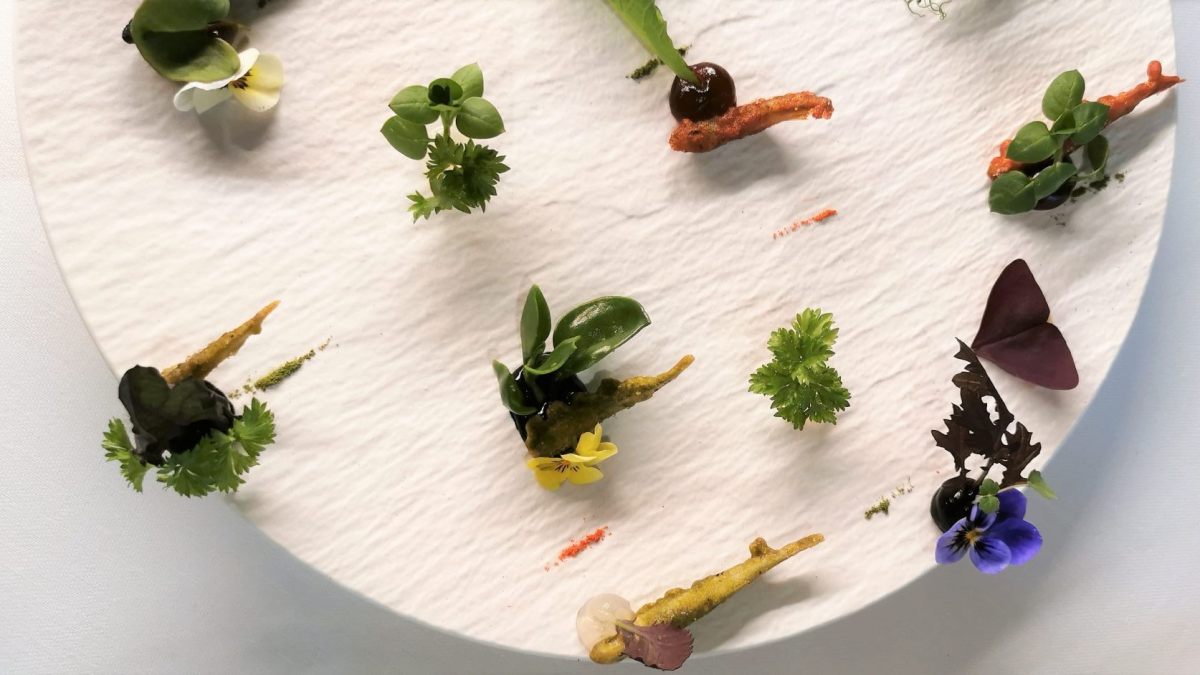 Acquadelle in salsa (16)