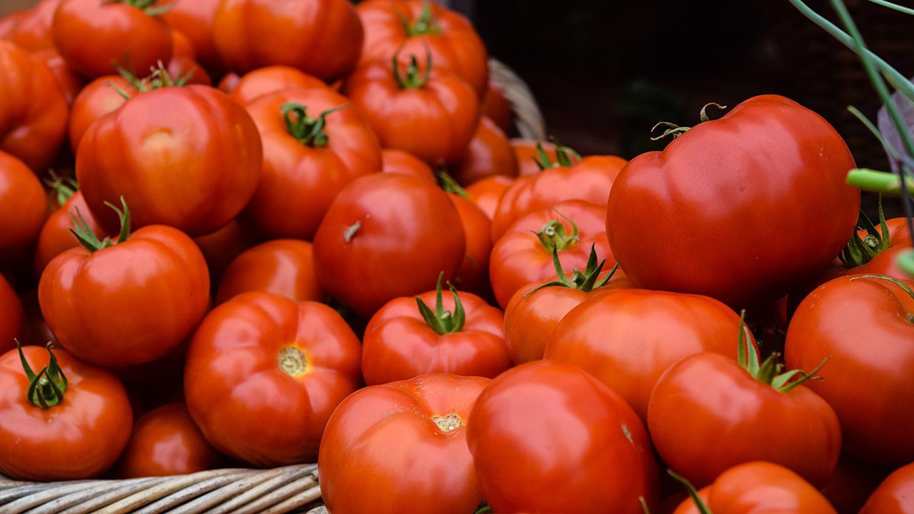 Napoli, azienda di pomodori La Rosina sequestrata per violazione delle normative ambientali