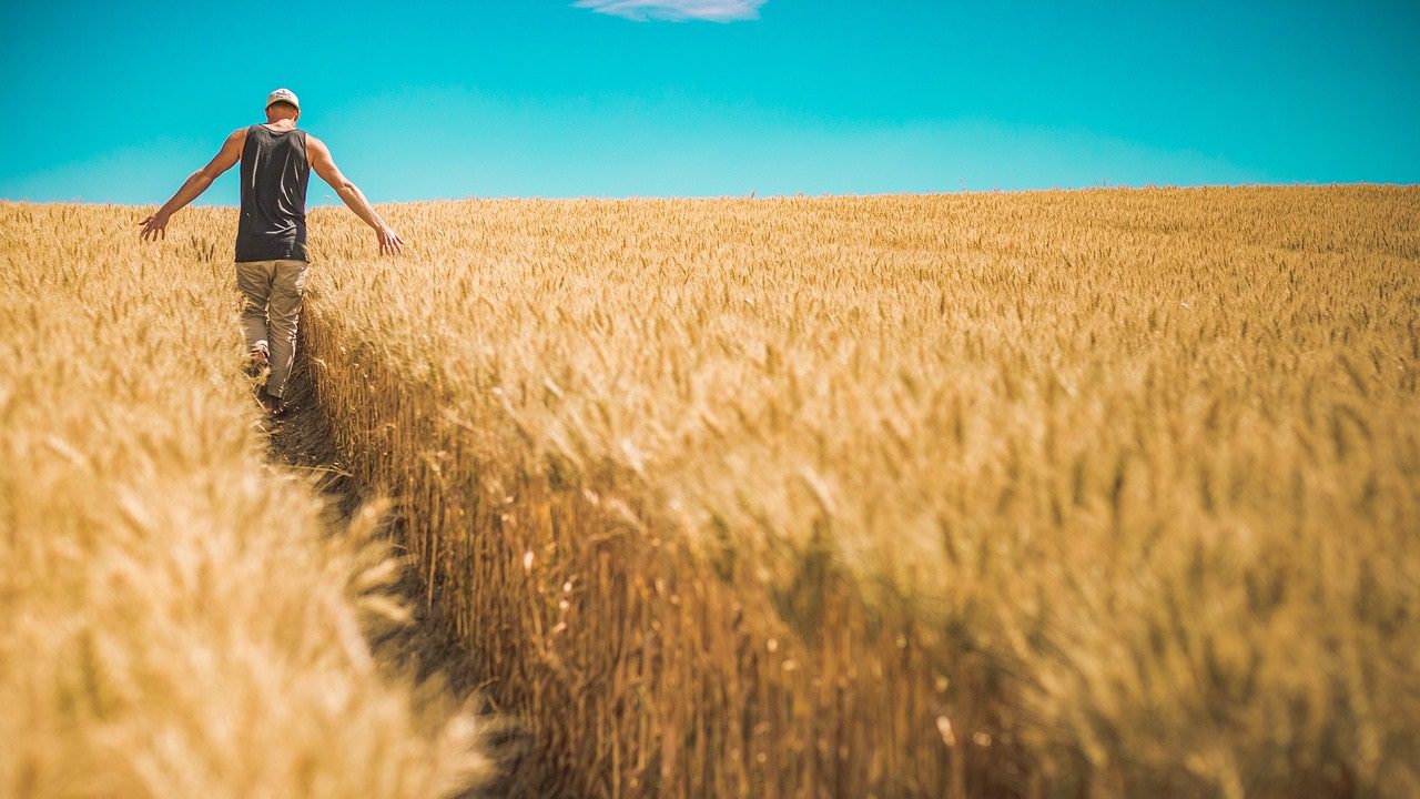 Il Governo introduce la cassa integrazione per l’emergenza climatica in agricoltura