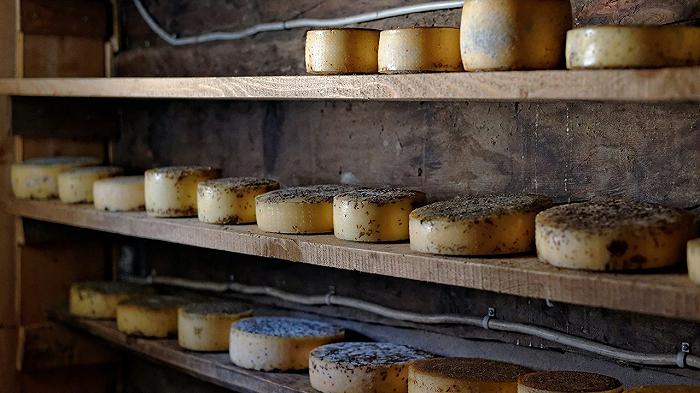 Formaggio svizzero: l’import è più dell’export, il settore è in crisi