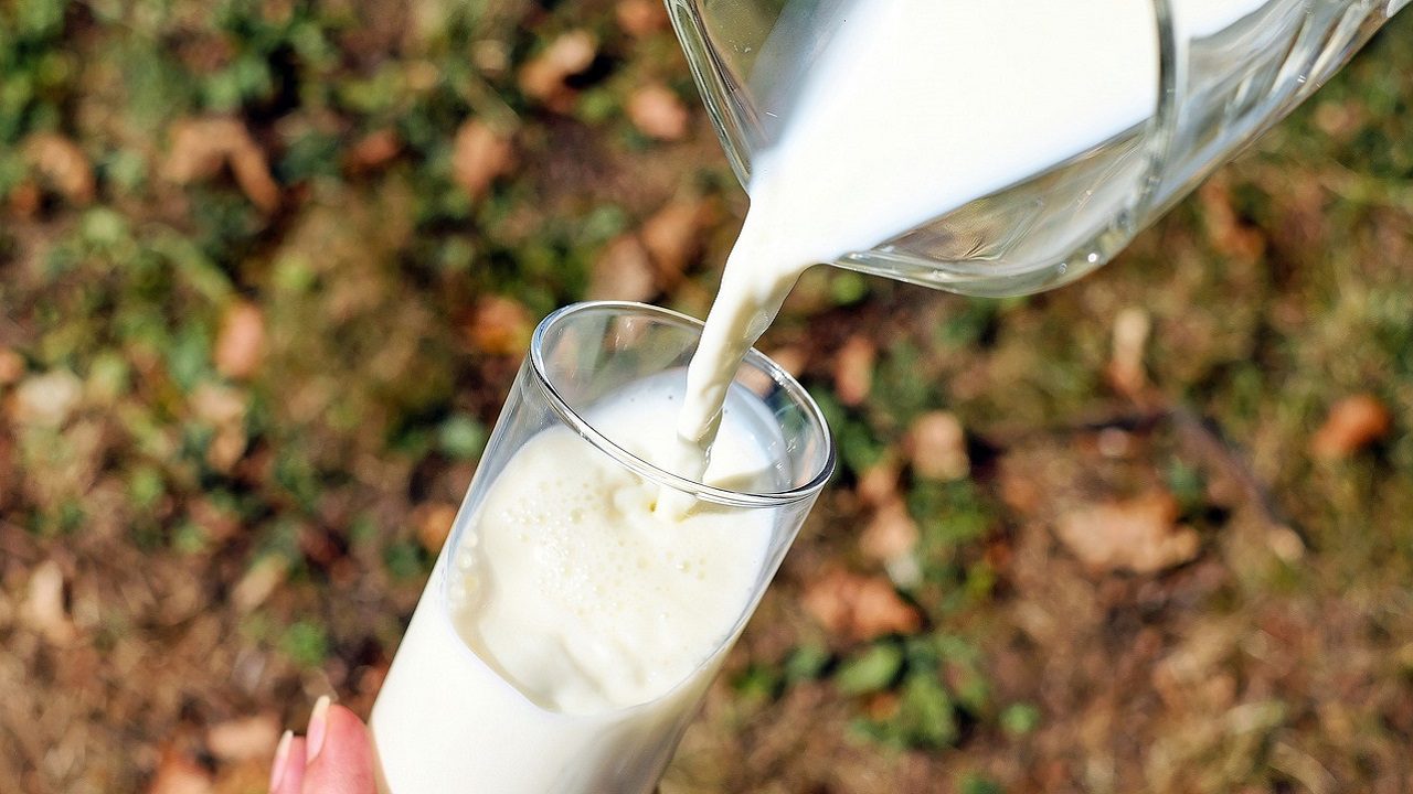 Meno latte nei supermercati: le mucche hanno caldo e ne producono il 10% in meno