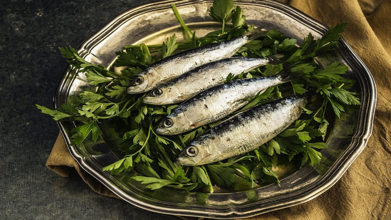 Sardine salate di Stella: richiamo per rischio chimico