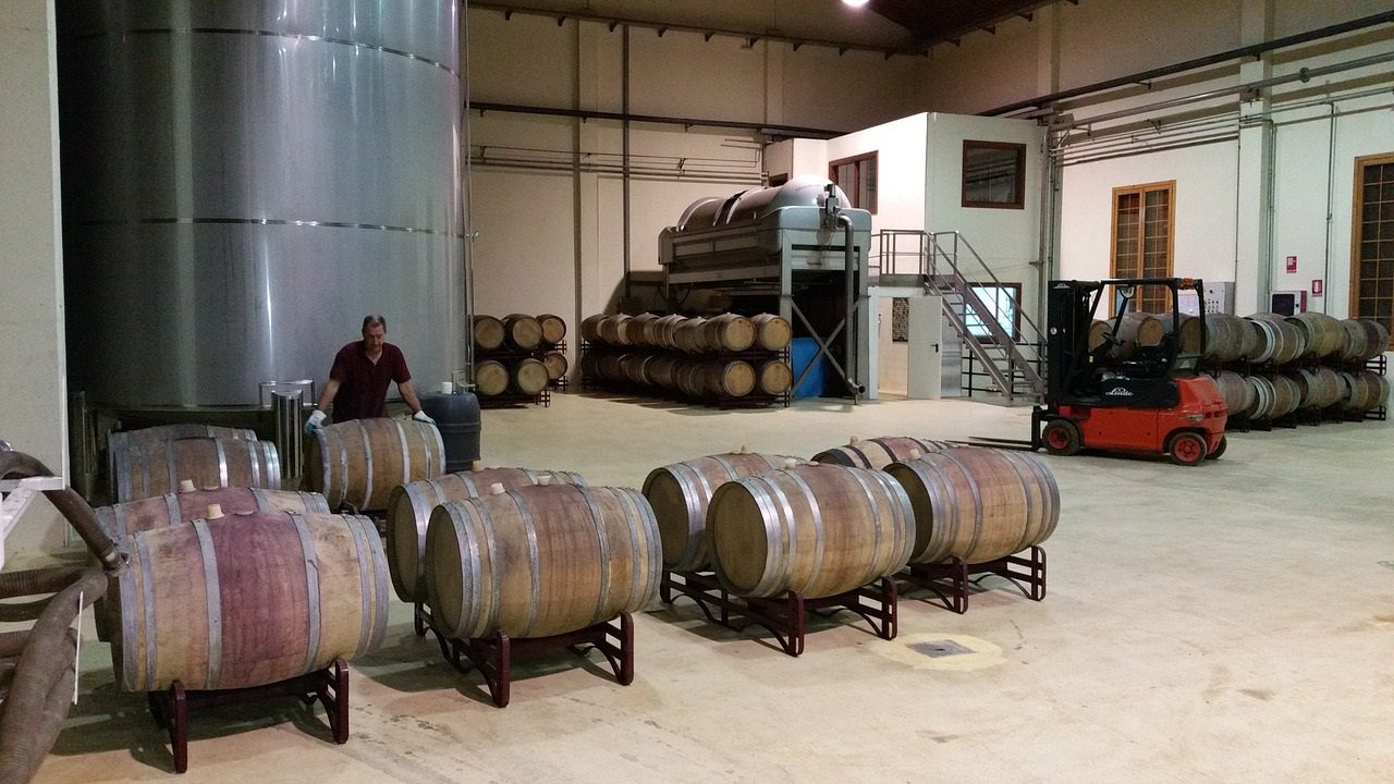 vino produzione