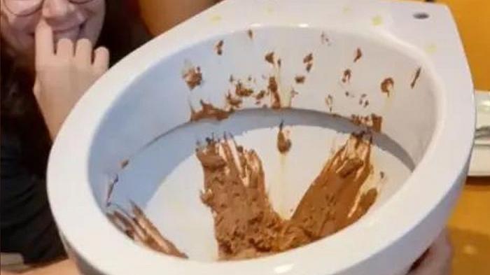 Servire del gelato al cioccolato in un gabinetto non è stata una buona idea