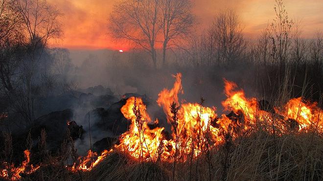 incendio campi